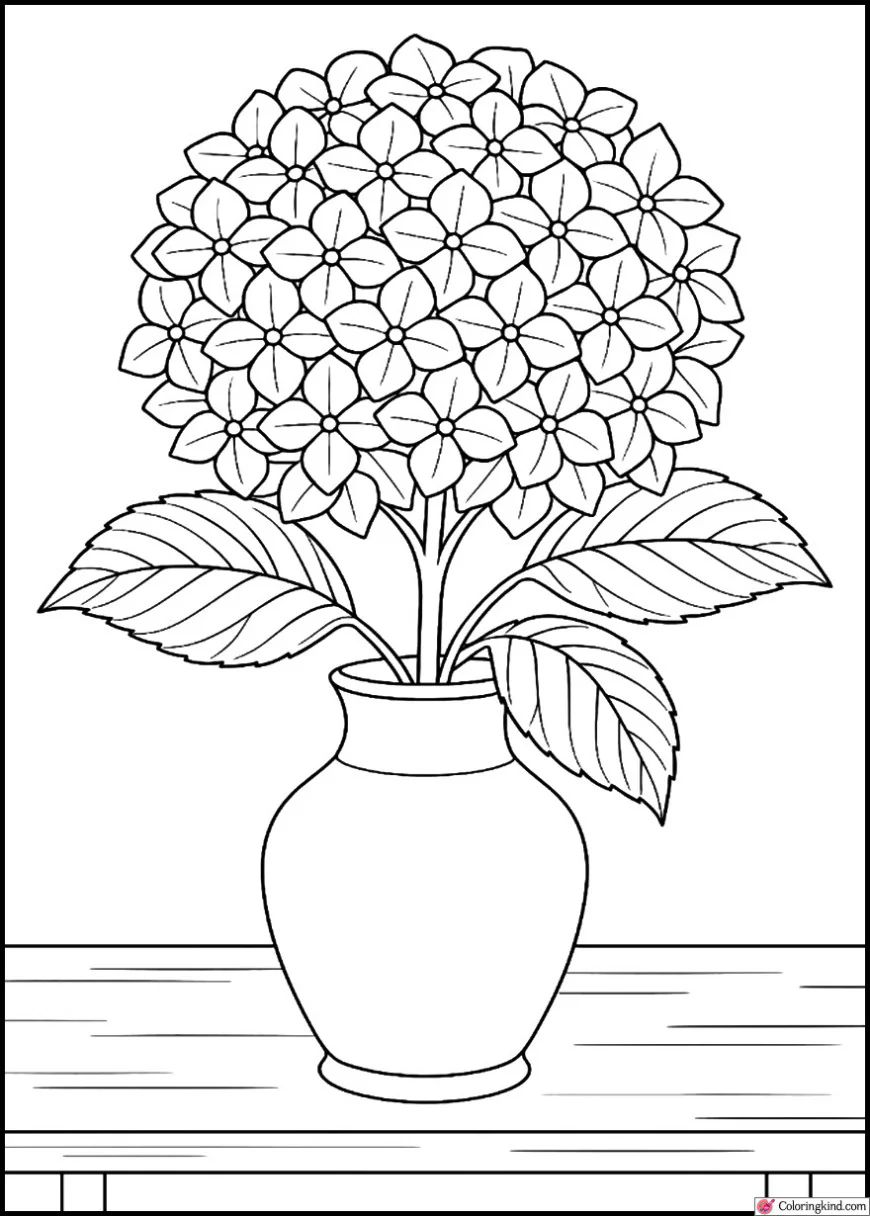 Hydrangea in a Vase on Table