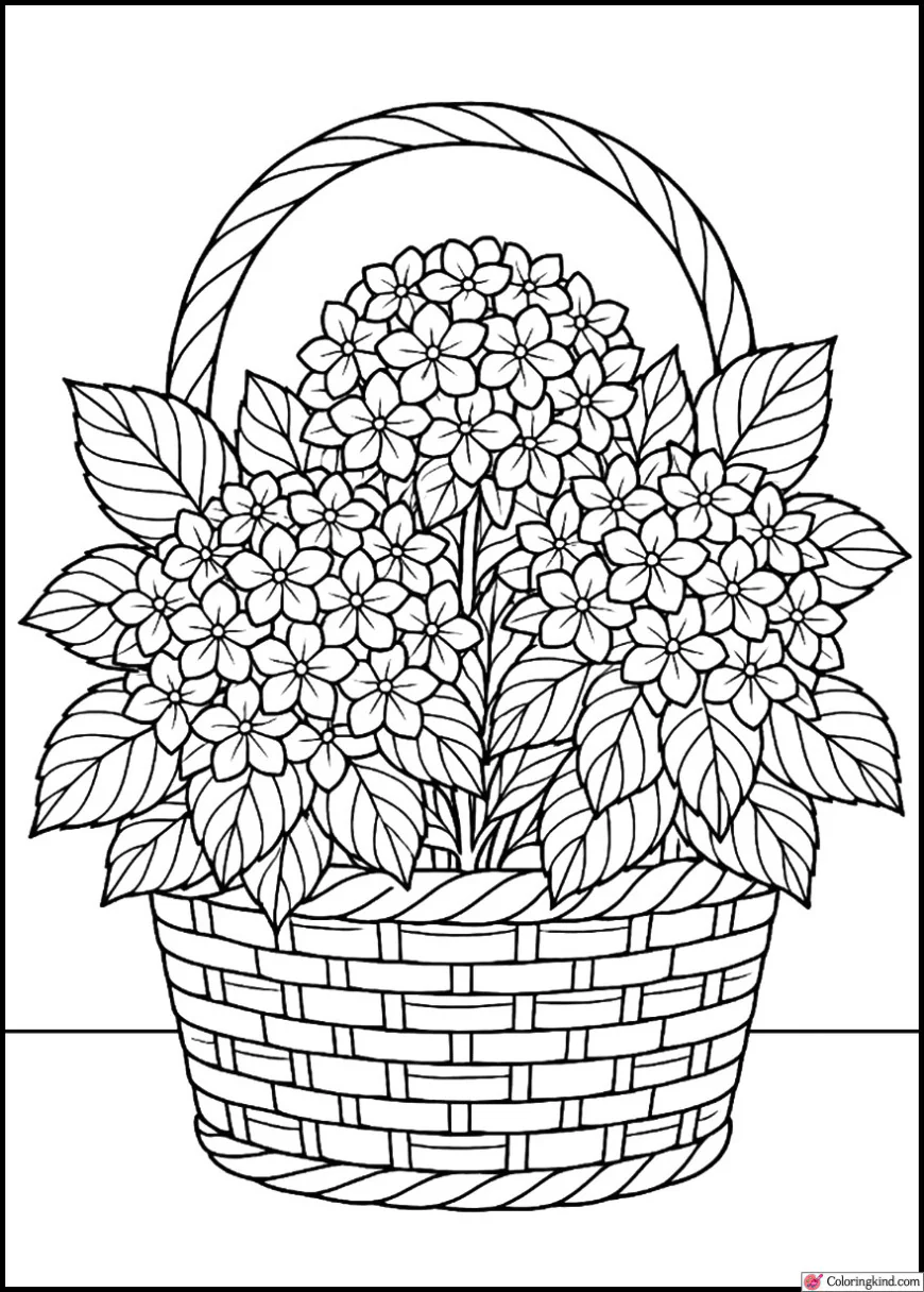 Hydrangea Basket Full of Flowers