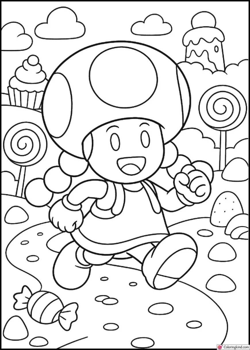Toadette in the Candy Land Adventure