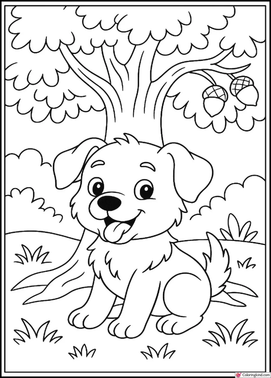 Cute puppy under a big oak tree