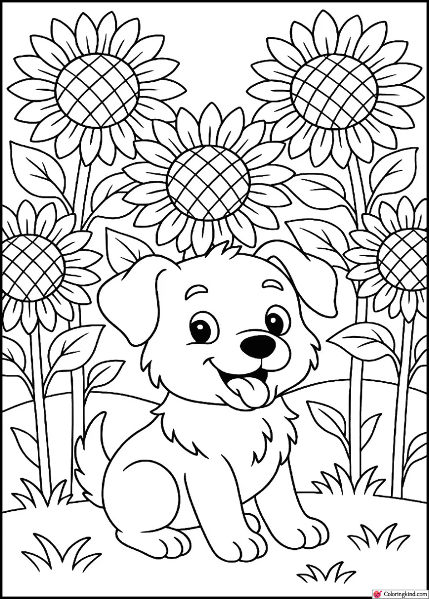 Cute puppy in a sunflower field