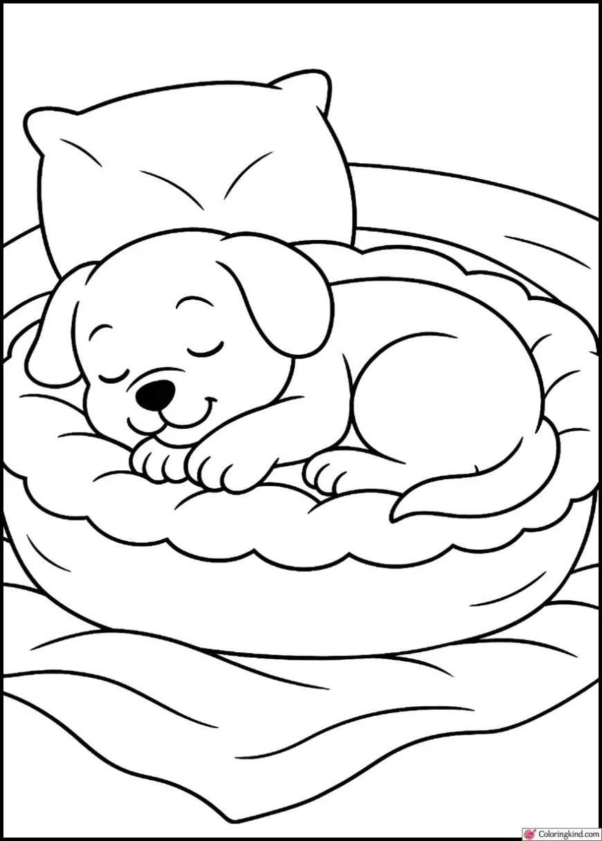 Puppy sleeping in a soft bed