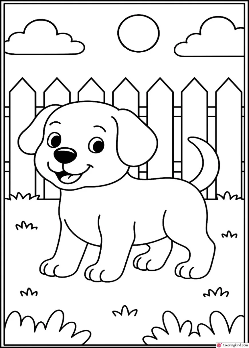 Puppy in a backyard with a fence