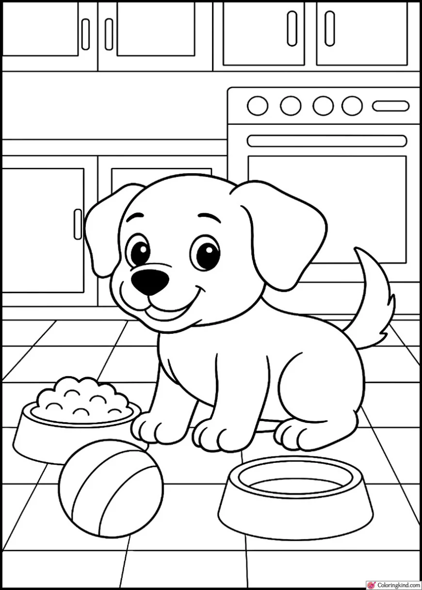 Puppy in a kitchen near food bowls