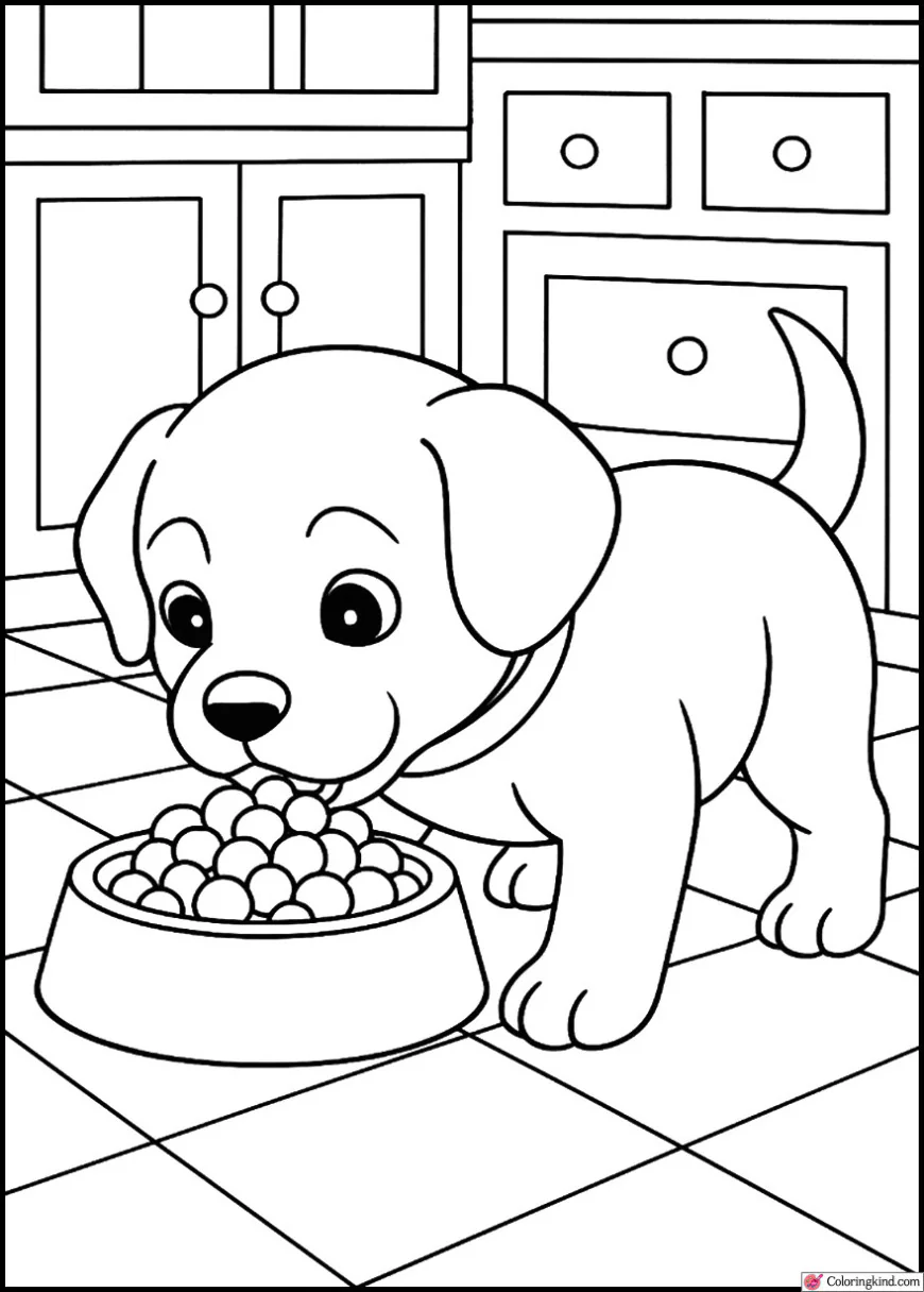 Puppy eating from a food bowl in the kitchen
