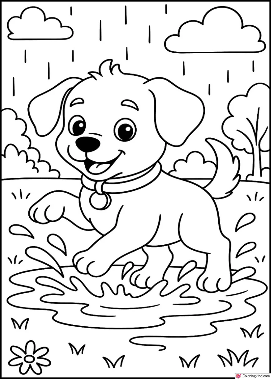 Puppy splashing in puddles after rain