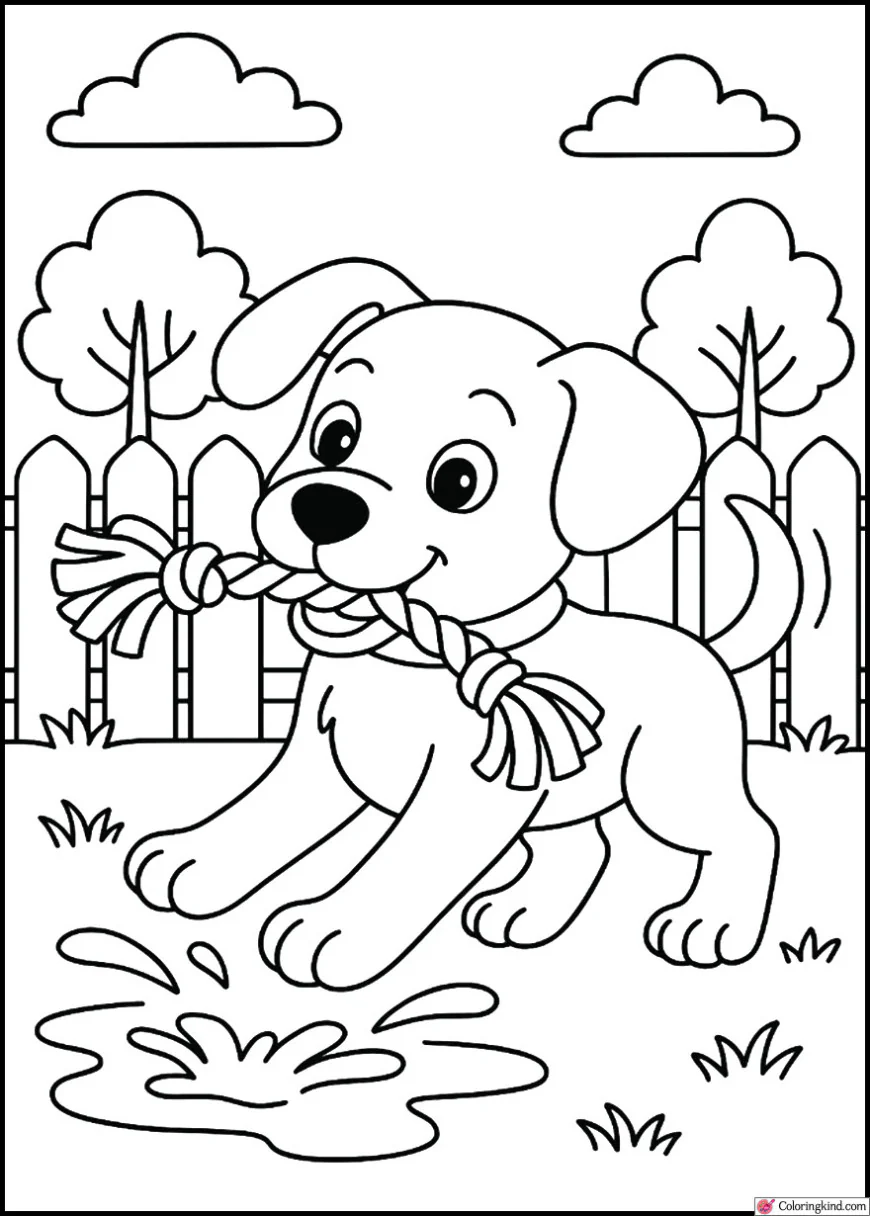 Puppy playing tug-of-war with a rope toy