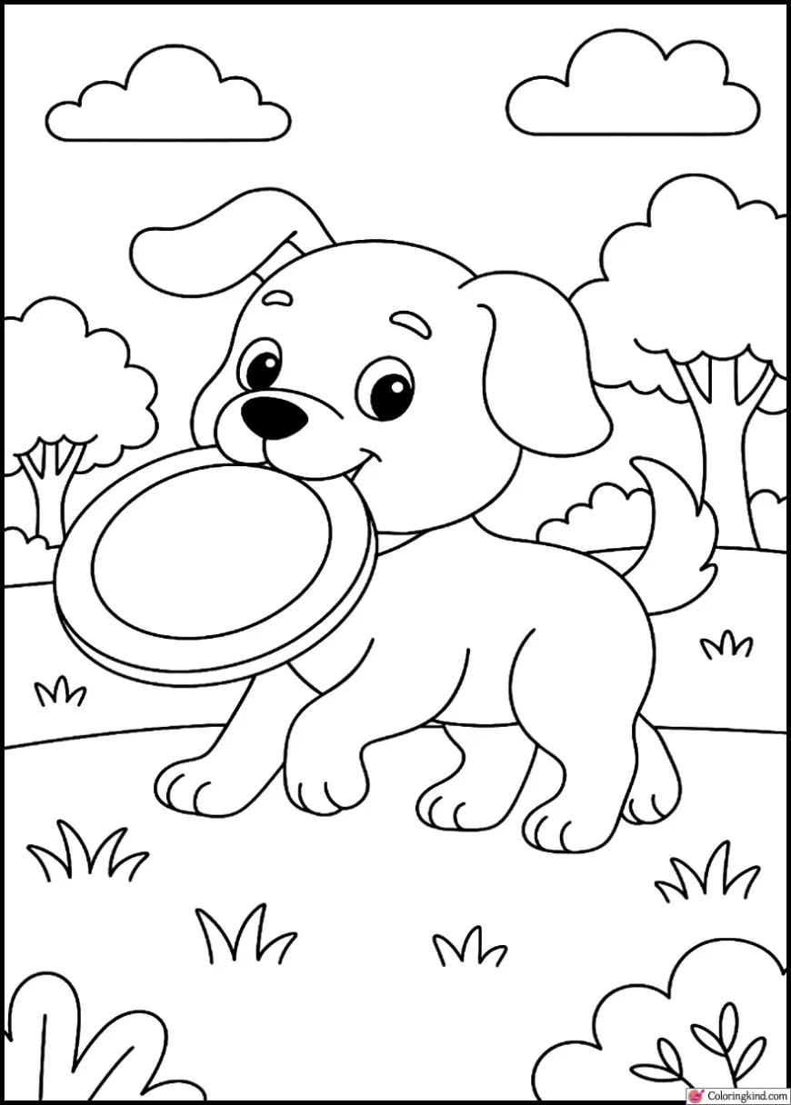 Puppy carrying a frisbee in the park