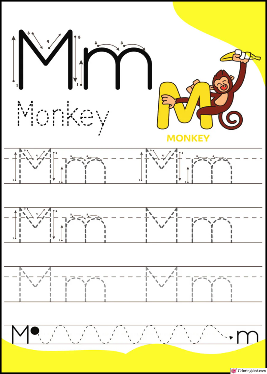 Pencil Control Tracing Three