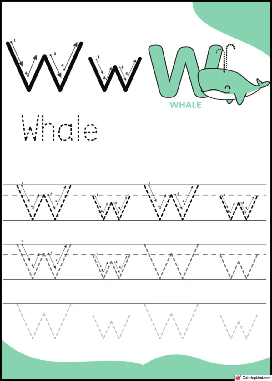 Pencil Control Tracing Four