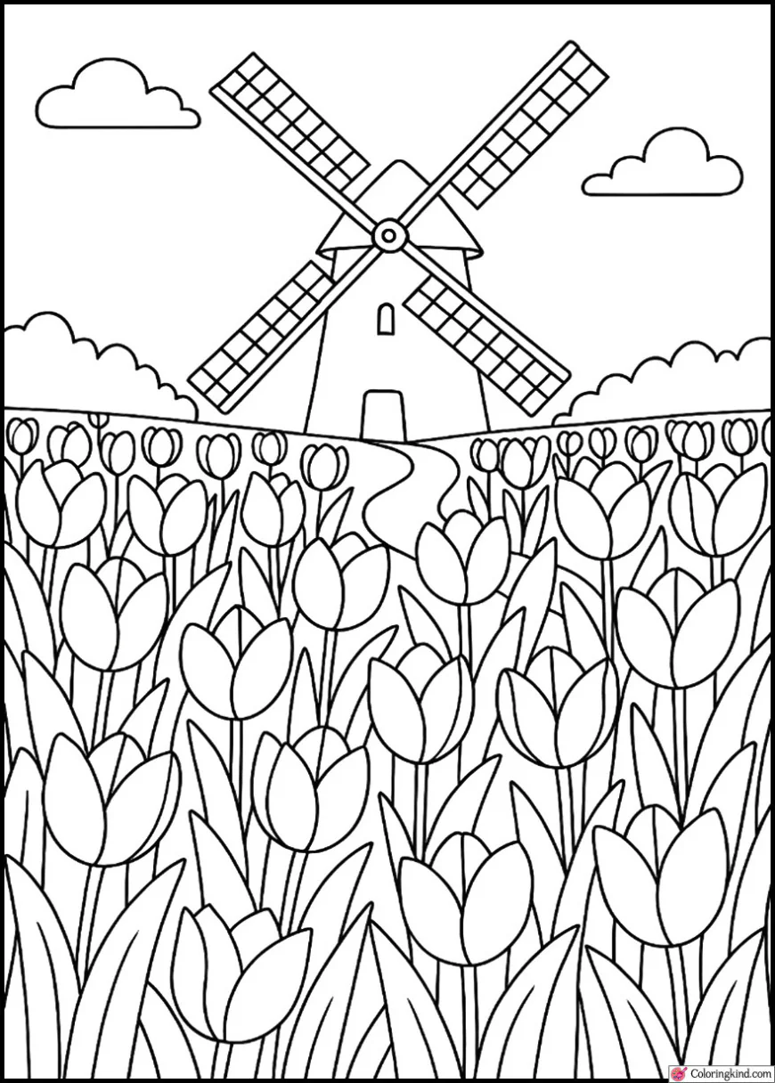 Tulip Park with Windmill