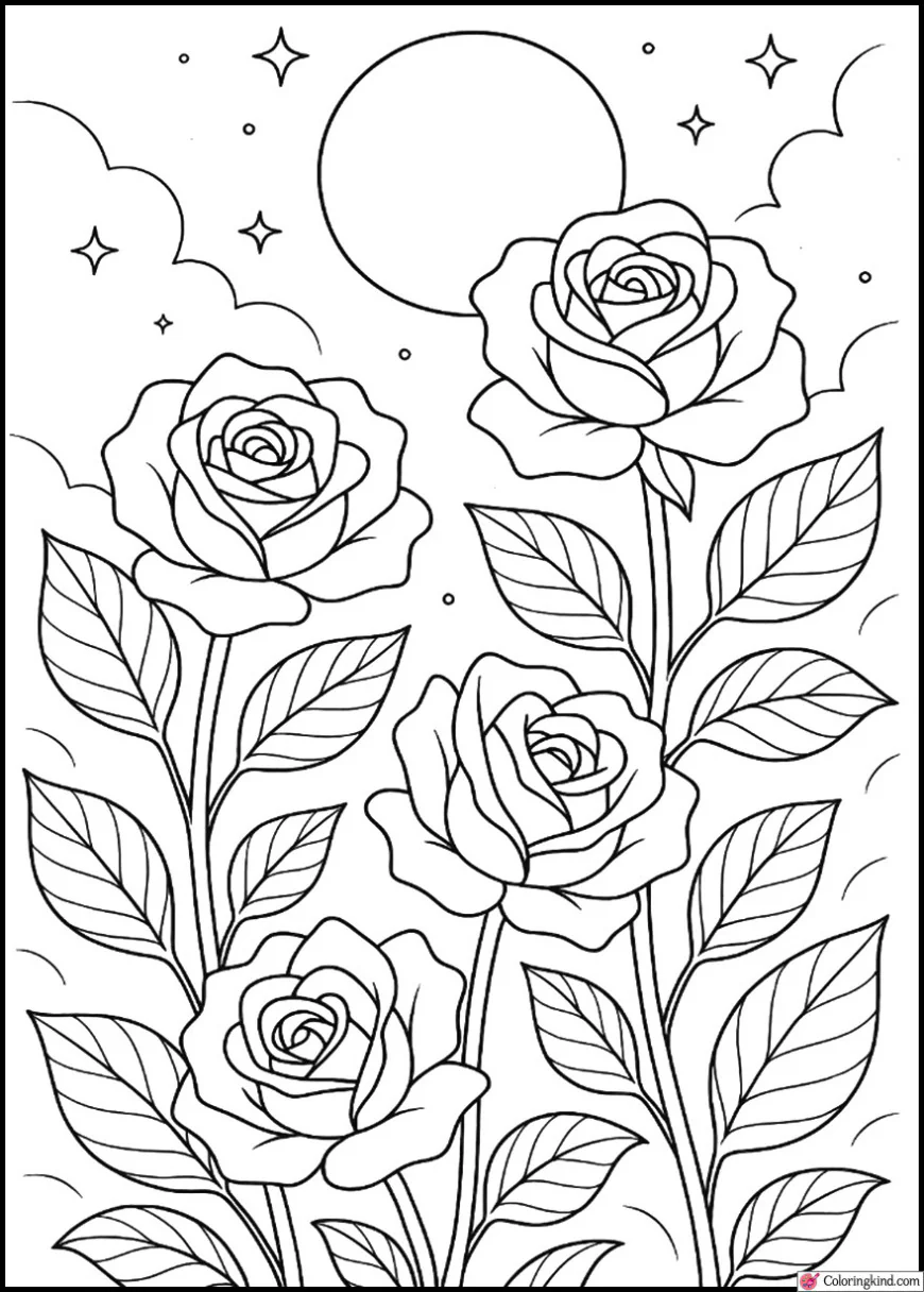 Magical Roses under Full Moon