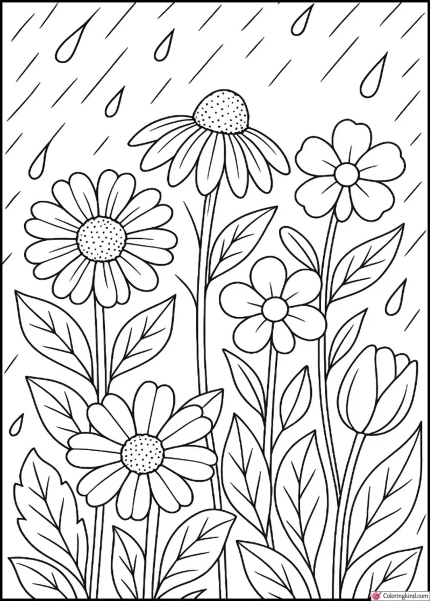 Rainy Day Garden with Flowers