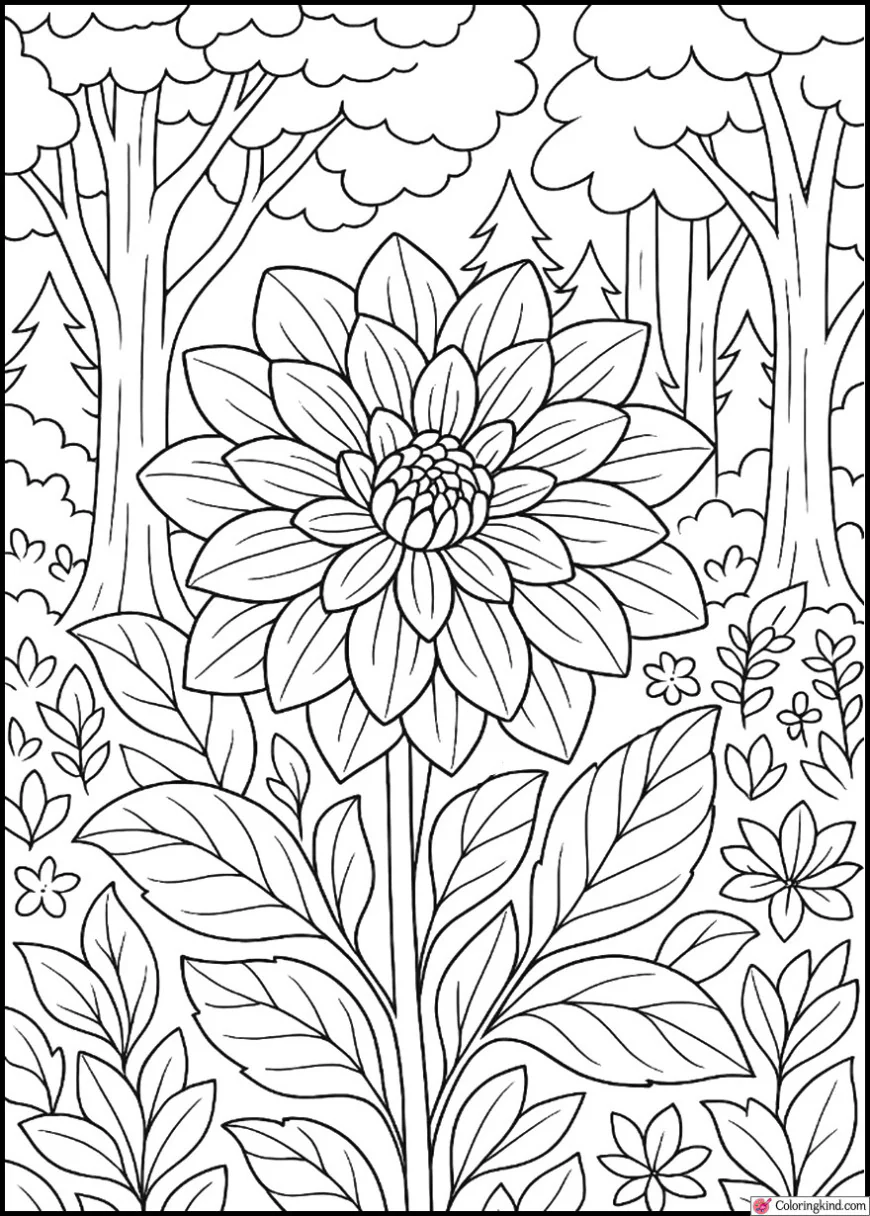 Dahlia with Fores