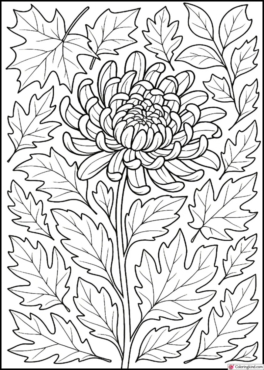Chrysanthemum with Autumn Leaves