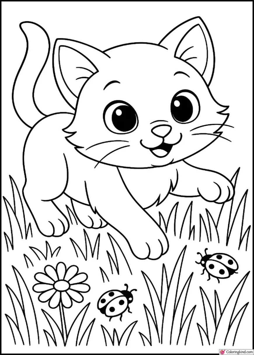 Kitten Chasing Ladybugs in the Grass