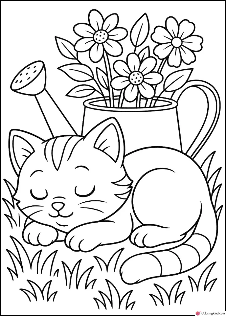 Kitten Sleeping beside Watering Can
