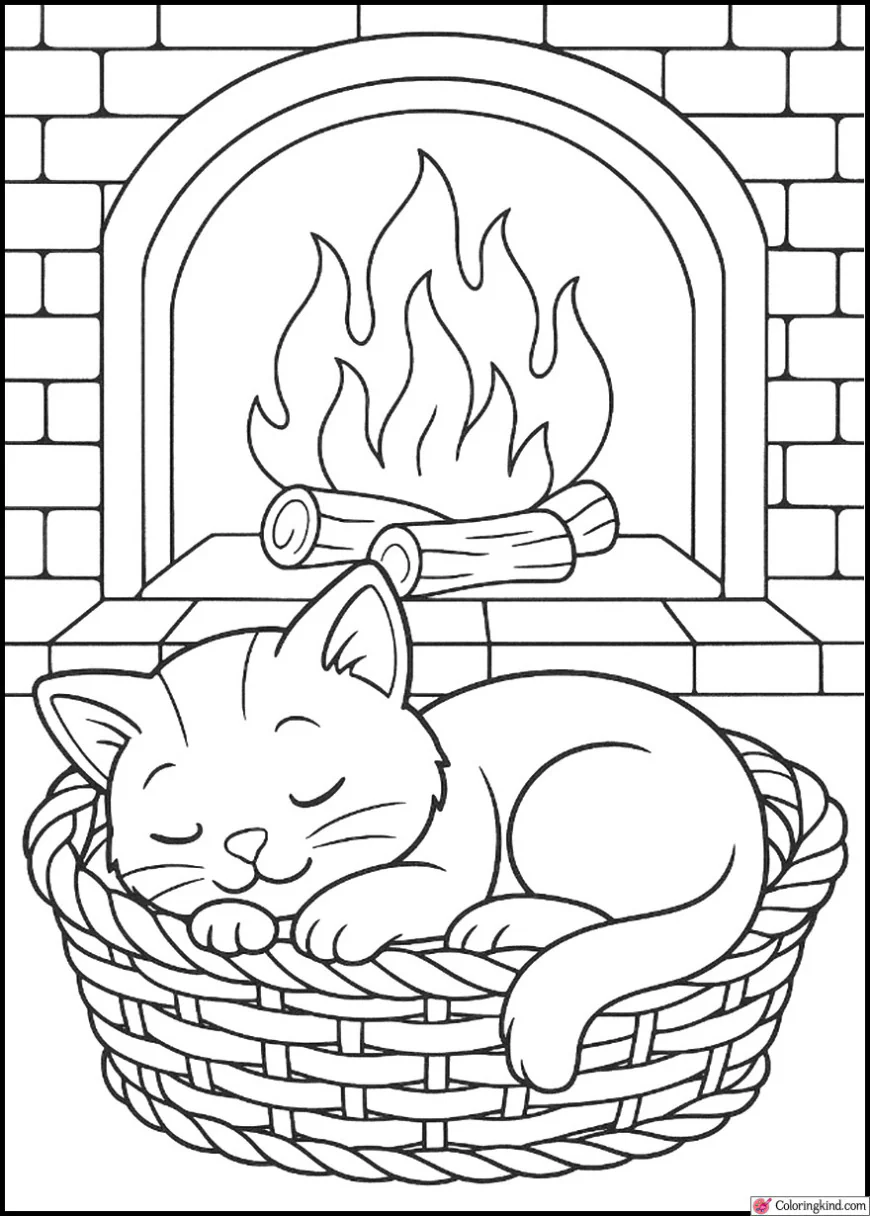 Kitten Sleeping in a Basket Beside Fireplace