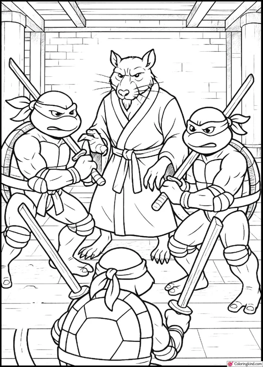 Splinter Training Turtles with Wooden Swords
