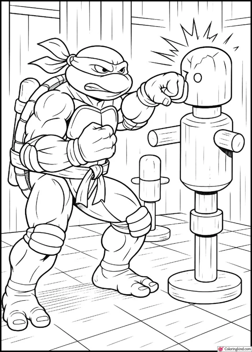 Raphael Punching Training Dummies
