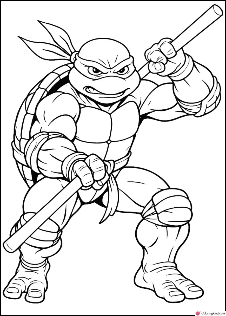 Donatello Using His Bo Staff in Battle