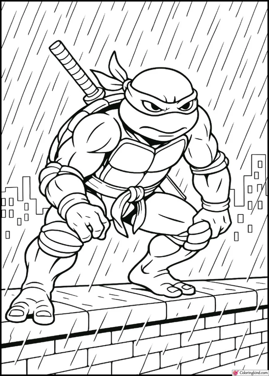 Turtles on a Rainy Rooftop Mission