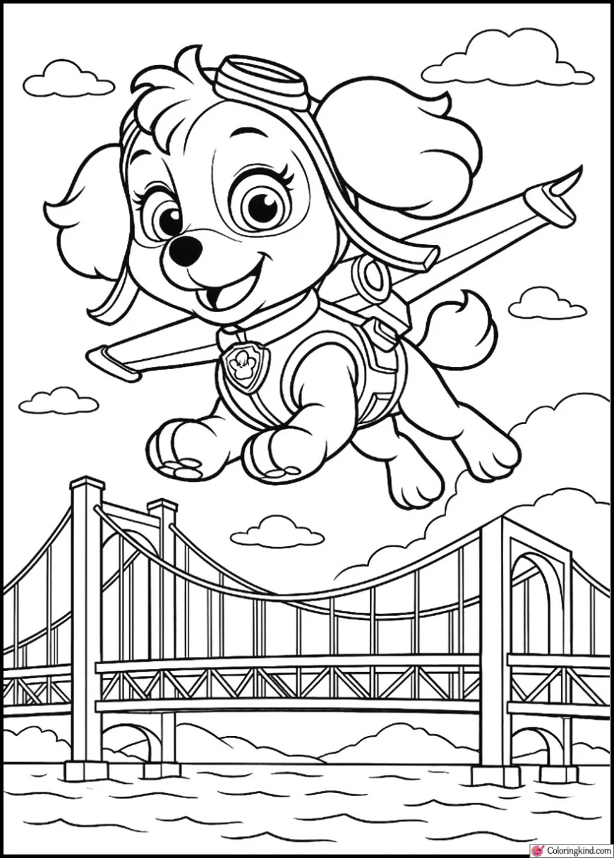Skye Flying Over Adventure Bay Bridge