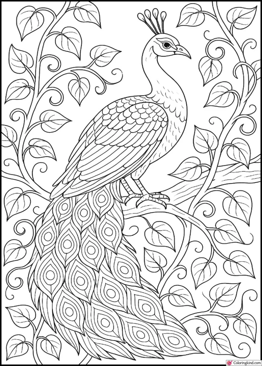 Peacock Sitting on Tree with Vines