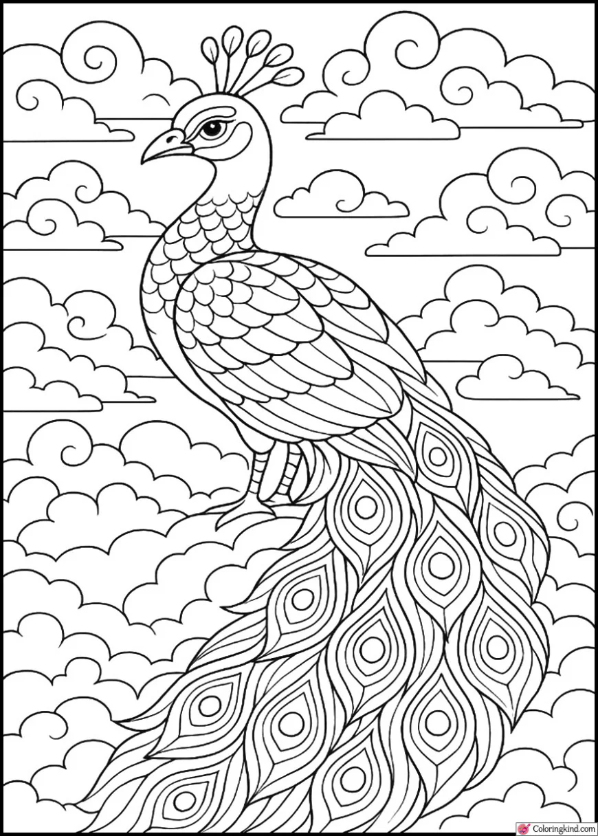 Peacock in a Dreamy Cloud Landscape