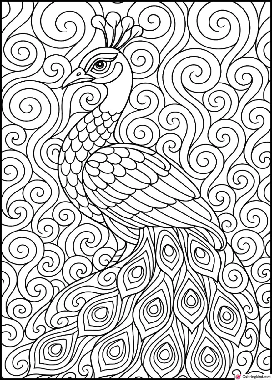 Peacock Among Abstract Swirls