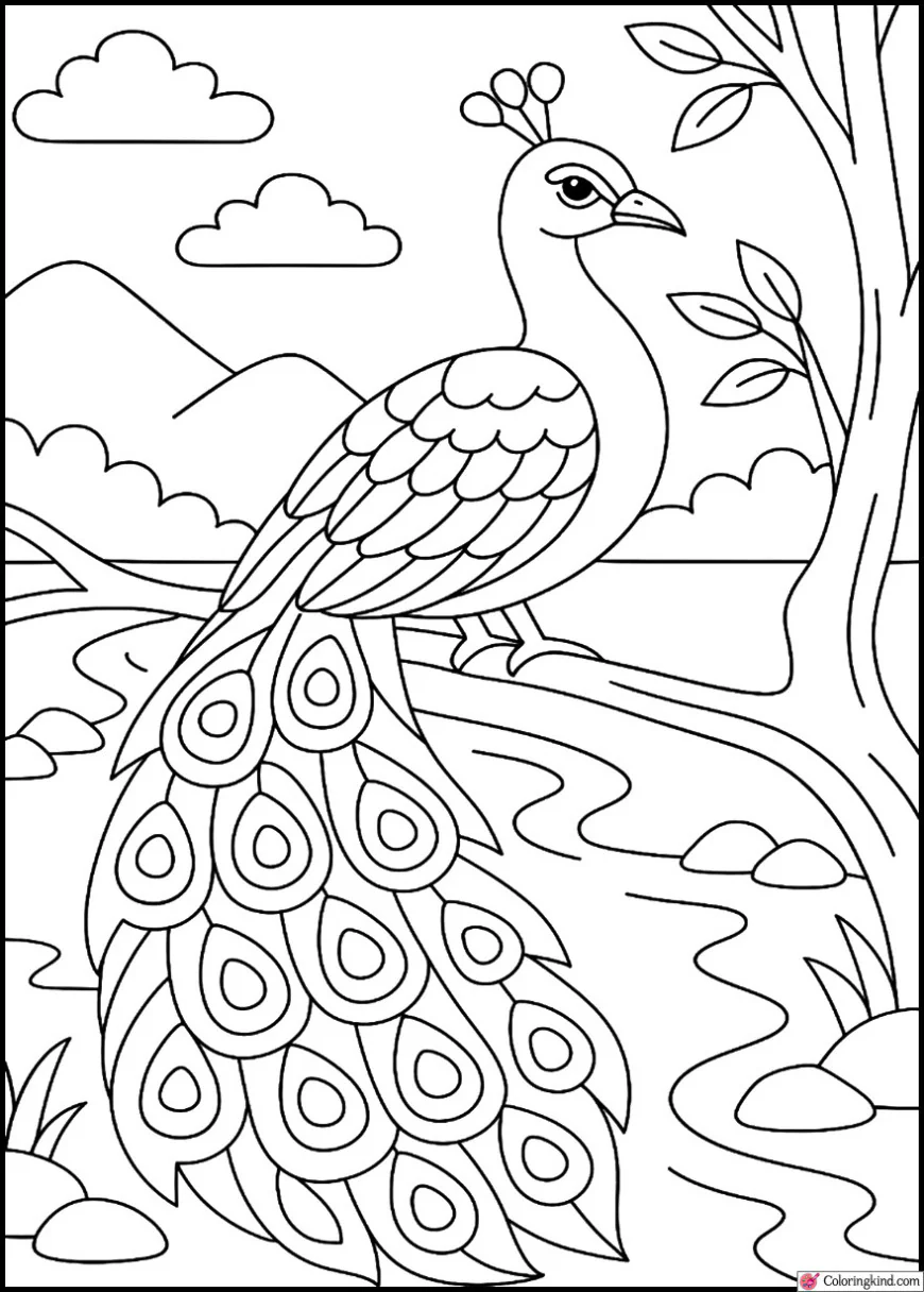 Peacock on Tree Branch Over River