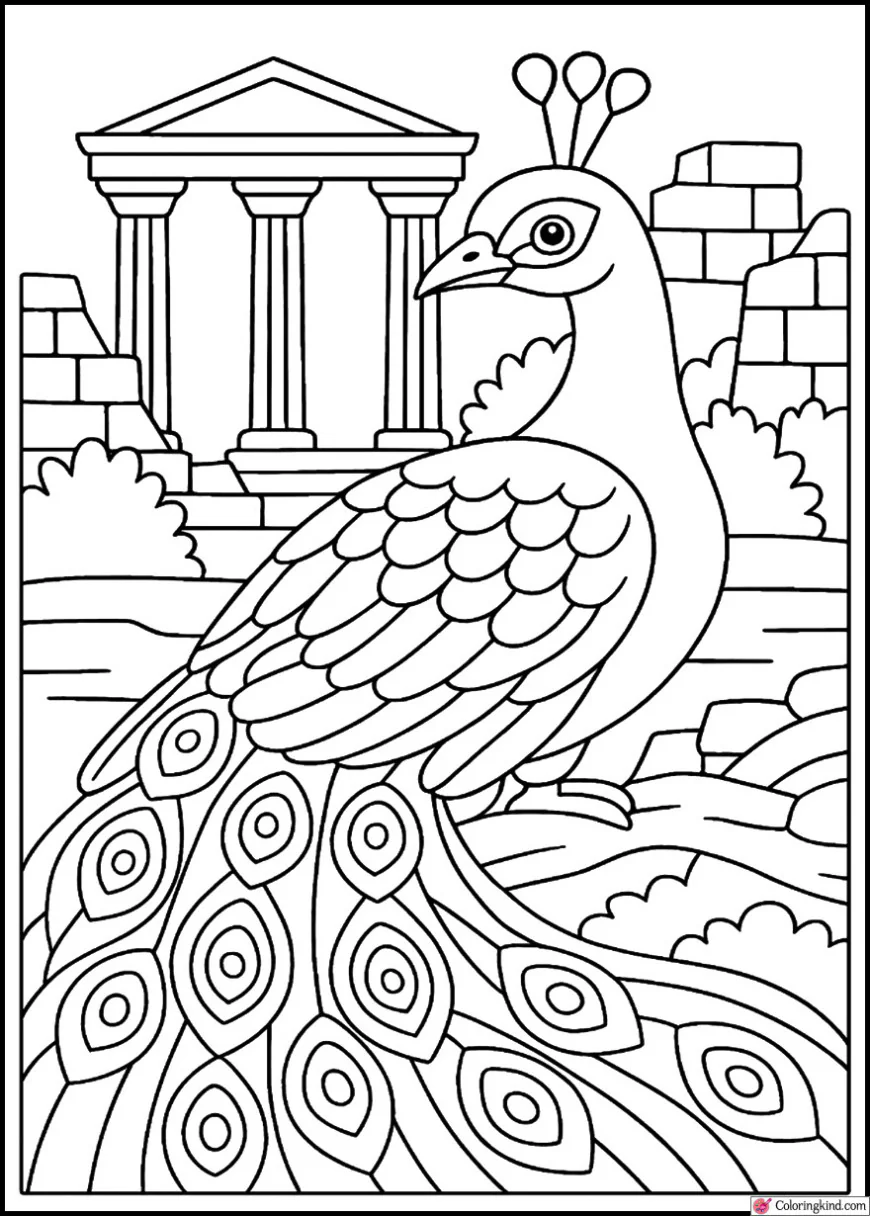 Peacock Resting Beside Ancient Ruins