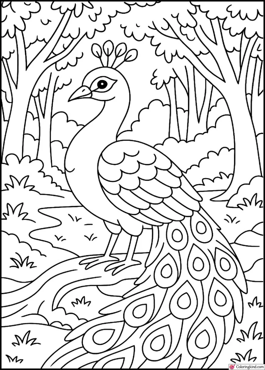 Peacock in a Mystic Forest Clearing