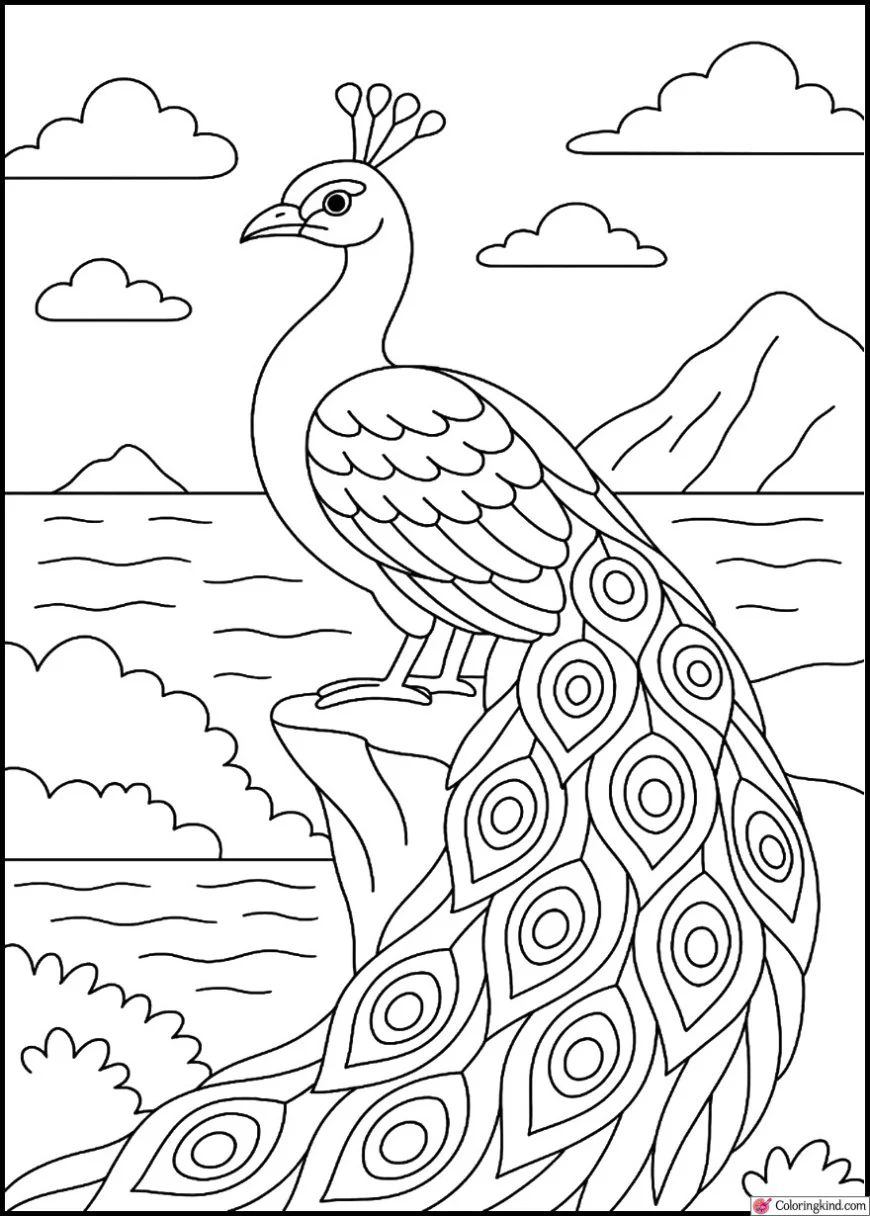 Peacock on a Cliff Overlooking Ocean