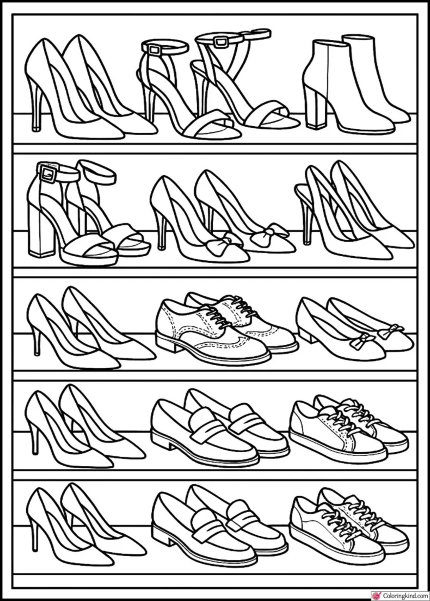 Designer Shoe Collection on Shelves
