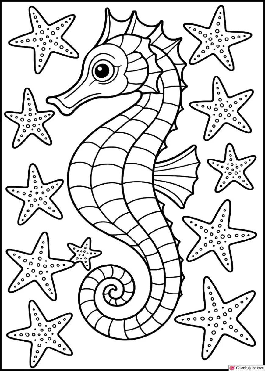 Seahorse Surrounded by Starfish