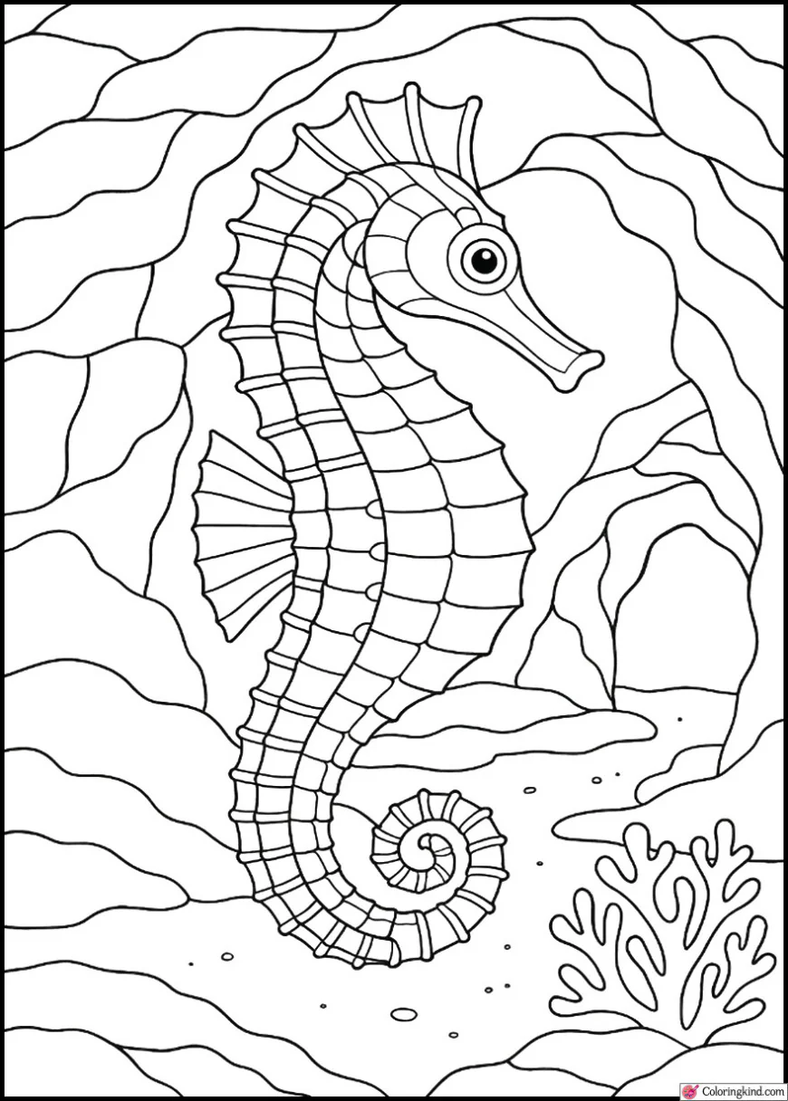 Seahorse by Coral Rock Caves