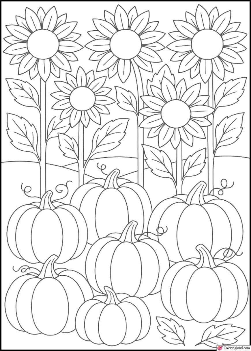 Field of Sunflowers and Pumpkins in Fall