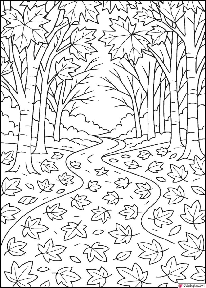Path Covered in Red and Yellow Leaves