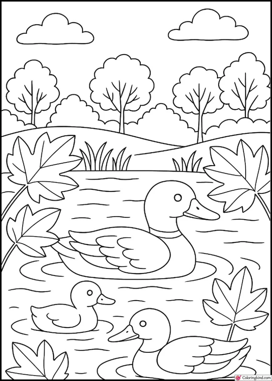 Ducks Swimming in an Autumn Pond