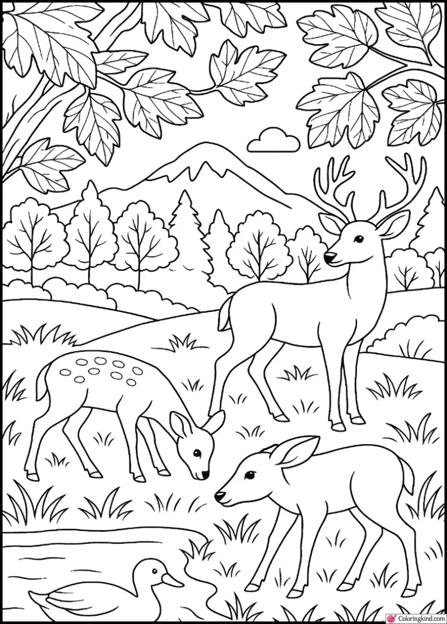 Deer Family Grazing in a Fall Meadow
