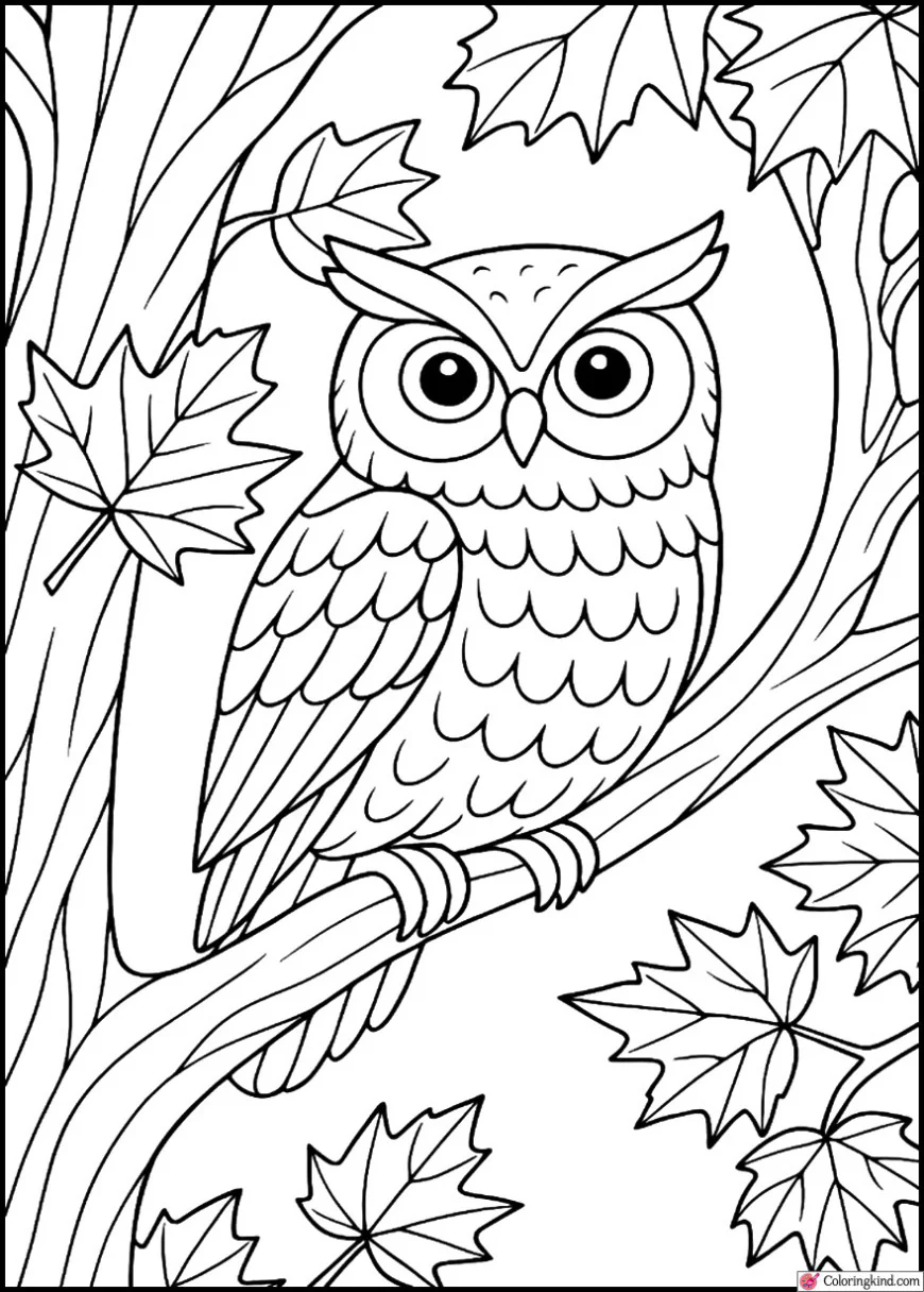 Owl Sitting on a Tree Branch in Autumn