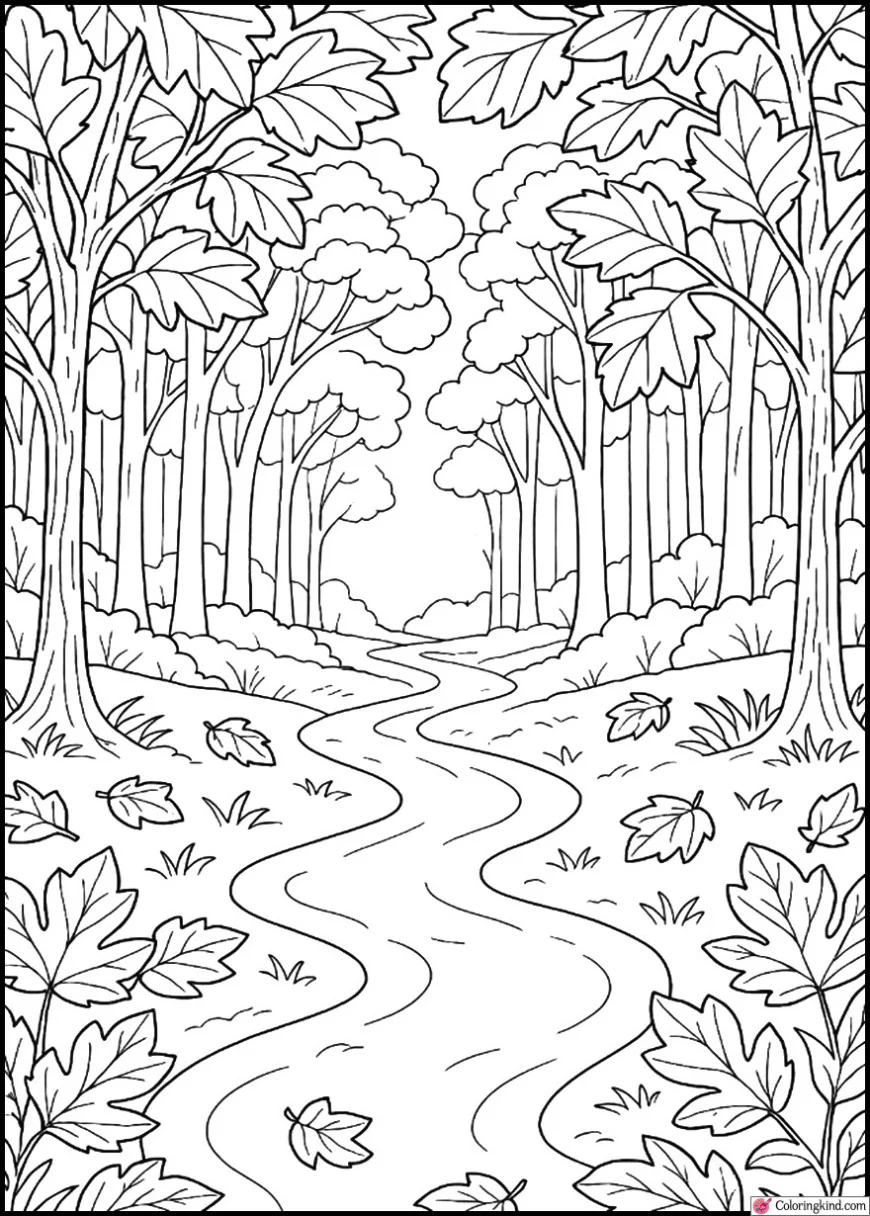 Pathway Through a Misty Fall Forest