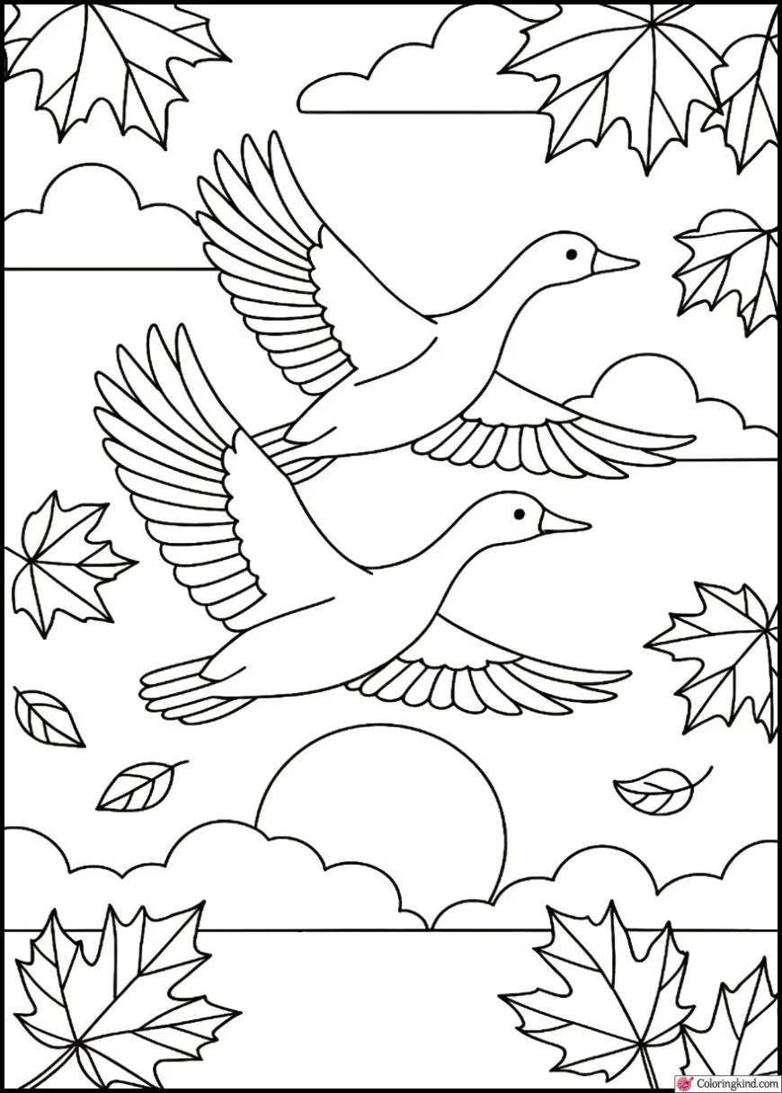 Birds Migrating Across a Fall Sunset Sky