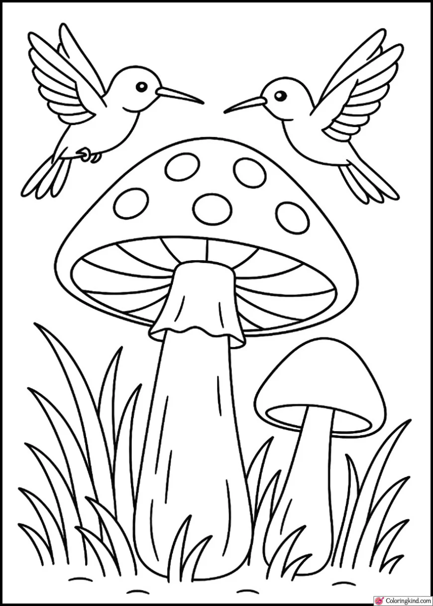 Mushrooms with Hummingbirds Nearby