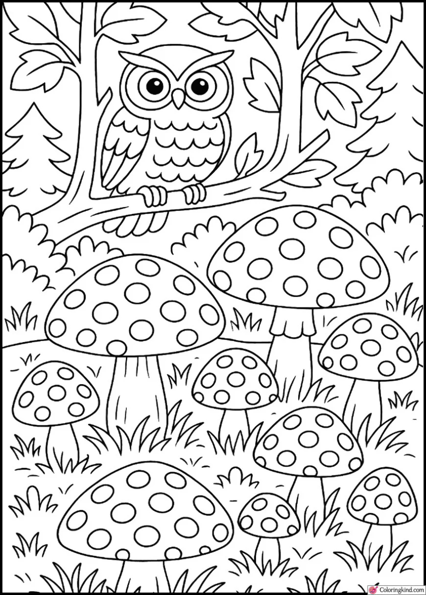 Owl Watching Over Mushroom Meadow