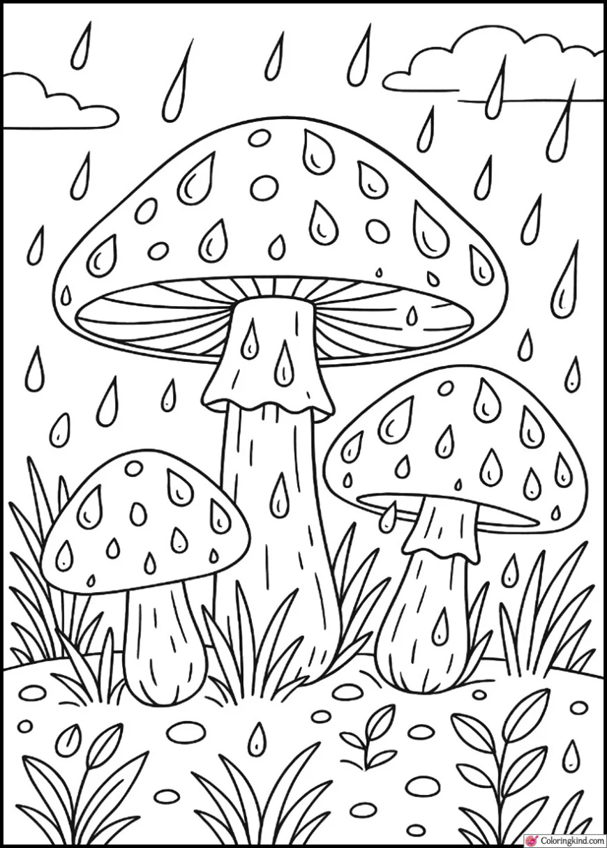 Rain-Dropped Mushrooms in Morning Dew