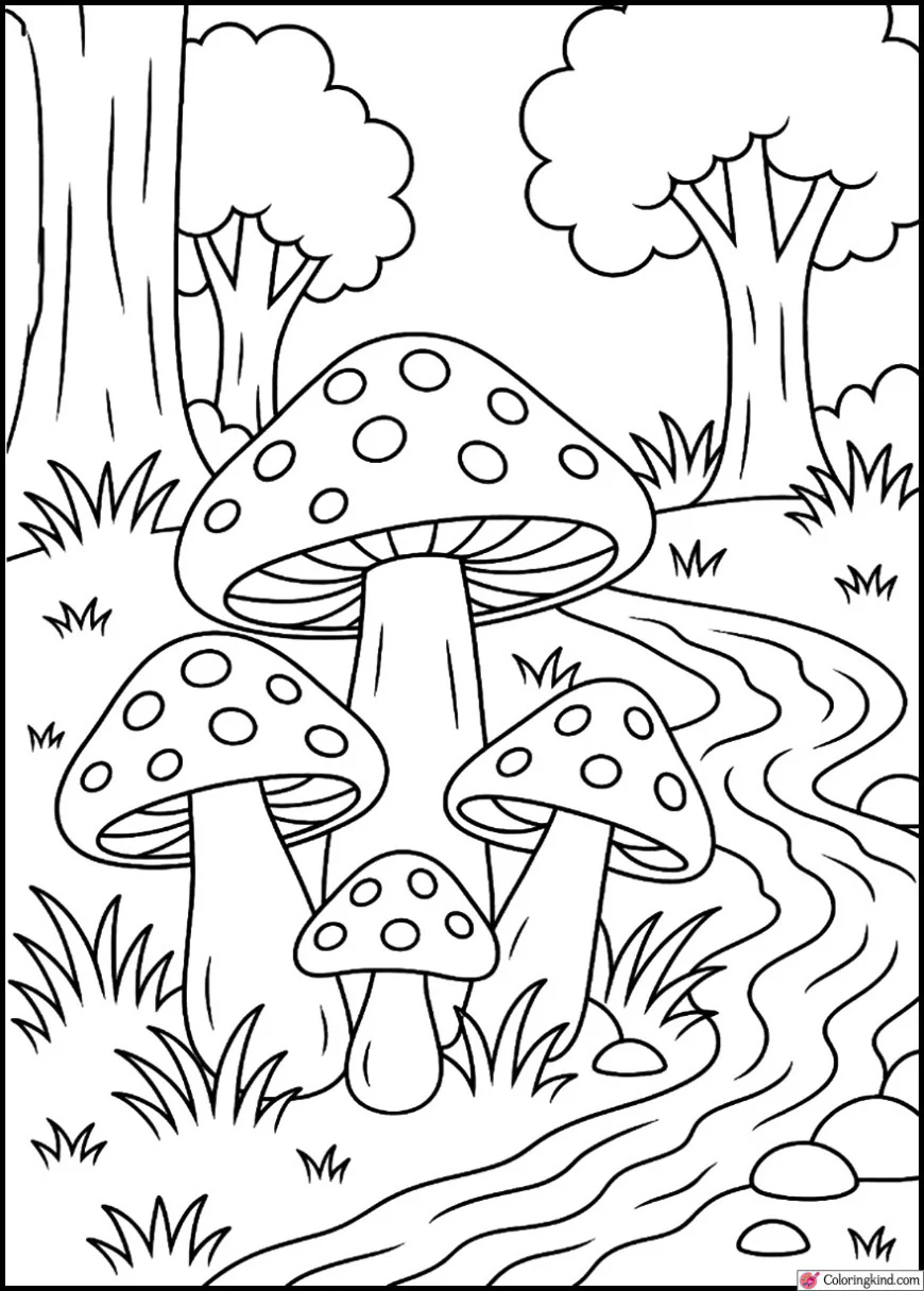 Cluster of Mushrooms Beside a Flowing Stream
