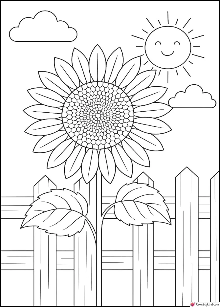 Sunflowers Beside a Wooden Fence