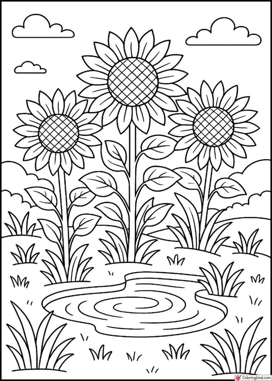 Sunflowers Beside a Small Pond